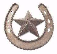 horse shoe with star