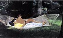 Padre Island Hammock