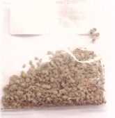 Homestead Tomato Seed