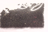 Collard Greens Seed