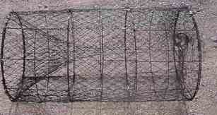 Turtle and Fish Trap