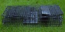 Easy Up Giant-Collapsible Trap 24x19x50