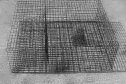 Sinking Turtle Trap/Dungeon Turtle Trap