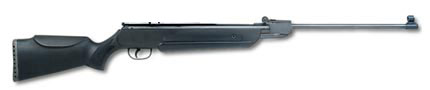 Winchester Pellet Rifle