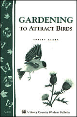 Gardening To Attract Birds