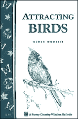 attracting Birds