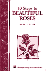 roses gardening