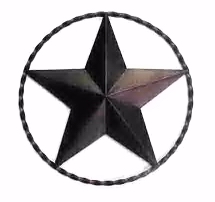 texas star!