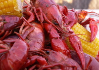 Crawfish Boil Seasoning