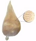 6 inch Stockinettes