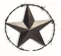 Bronzed Star w/Barbwire