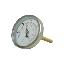 Thermometer for Fermenter