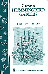 hummingbird gardening