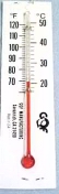 Incubator Thermometer
