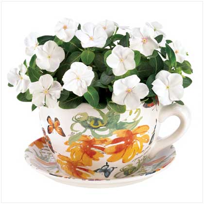 Butterfly Planter Teacup