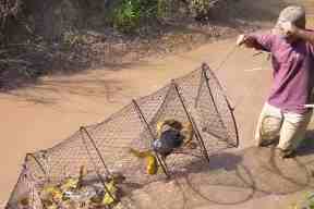 Gill Nets, Seines & Fish Traps