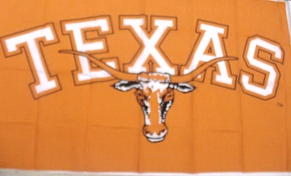 Texas Longhorn Flag