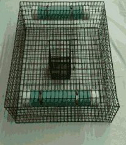 Fish Feeder