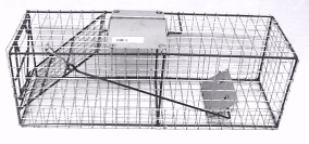 Small Live Animal Trap