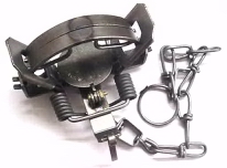 Coil Spring Double Jaw Trap