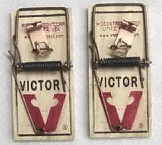 Snap Trap for Mice