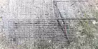 Live Trap 30X28X60