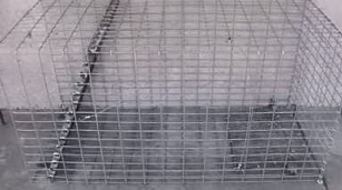 Live Trap 30X28X60
