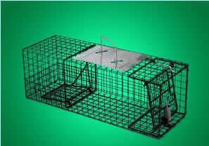 Pied Piper #401 Heavy Duty Live Animal Trap 20 x 20 x 48