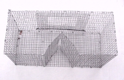 LIVE QUAIL TRAP