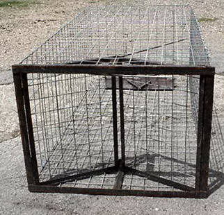 Live Trap for Feral Hogs and other Large Animals