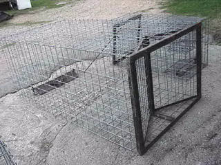 Live Trap for Feral Hogs and other Large Animals