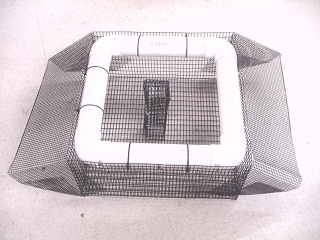 Mini Sundeck with Bait Tower