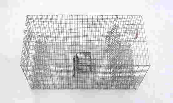Combination Turtle and Snake Trap