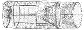 Fish and Bait Hoop Net