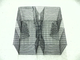Large Perch Trap