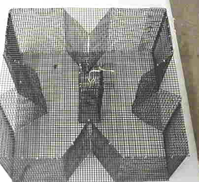 Minnow Trap without Floats