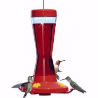 hummingbird feeder