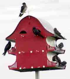 Purple Martin Bird Houses