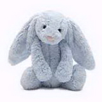 Plush Puppy