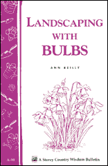 landscaping bulds