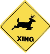 Crossing Sign Deer