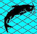 No picture of gill net - very hard to see