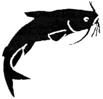 catfish logo