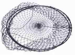 crab net