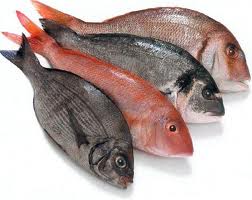 Cleaning & Cooking Fish and Shrimp
