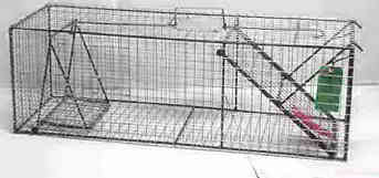 Live Trap 24x8x8
