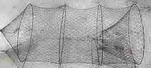 Turtle Hoop Net